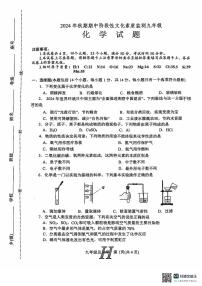 河南省南阳市唐河县2024--2025学年九年级上学期11月期中考试化学试题