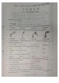 河南省驻马店市汝南县2024-2025学年九年级上学期11月期中考试化学试题