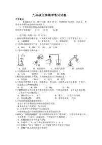 河南省驻马店市第二初级中学2024-2025学年九年级上学期11月期中化学试题