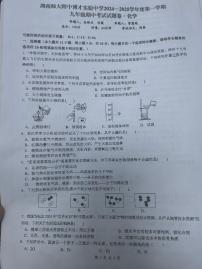 湖南省长沙市湖南师大附中博才实验中学2024-2025学年九年级上学期11月期中化学试题