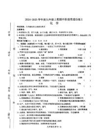 河南省信阳市淮滨县2024-2025学年九年级上学期11月期中考试化学试题