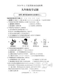 山东省菏泽市曹县2024-2025学年九年级上学期11月期中化学试题
