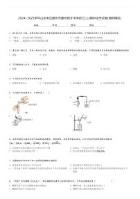 2024～2025学年山东枣庄滕州市滕州育才中学初三(上)期中化学试卷(调研模拟)[原题+解析]