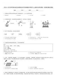 2024～2025学年湖北武汉武昌区武汉市武珞路中学初三(上)期中化学试卷(一校四区理化试题)[原题+解析]