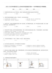 2024～2025学年重庆初三(上)月考化学试卷(重庆市第一一0中学集团五校 学情调查)[原题+解析]