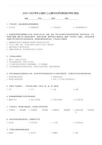 2024～2025学年上海初二(上)期中化学试卷(部分学校 测试)[原题+解析]