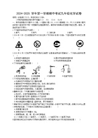 江西省赣州市南康区2024-2025学年九年级上学期期中考试化学试卷