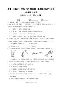 福建省福州市平潭县一中教研片2024--2025学年九年级上学期化学期中适应性练习