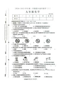 河南省周口市太康县2024-2025学年九年级上学期11月期中考试化学试题