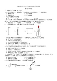 四川省泸州市泸县五中学区2024-2025学年九年级上学期11月期中联合考试化学试题