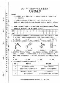 湖南省永州市蓝山县2024-2025学年九年级上学期11月期中化学试题