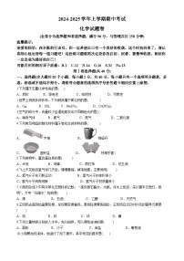 云南省文山市第一中学2024--2025学年九年级上学期11月期中化学试题