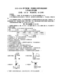 山东省东营市利津县2023--2024学年九年级上学期期中考试化学试题