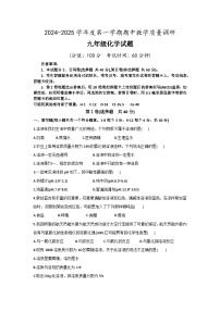 山东省东营市利津县2024--2025学年九年级上学期11月期中化学试题