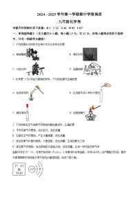 广东省深圳市龙华区新华中学2024-2025学年九年级上学期期中考试化学试卷