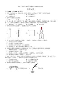 四川省泸州市泸县五中学区2024～2025学年九年级(上)期中定时训练化学试题(含答案)