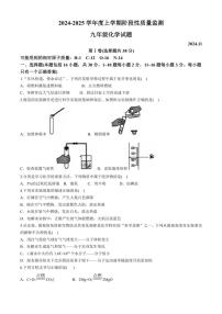 山东省临沂市郯城县2024～2025学年九年级(上)期中考试化学试卷(含答案)