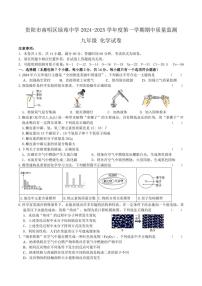 贵州省贵阳市南明区绿苑中学2024～2025学年九年级(上)期中化学试卷(含答案)