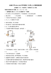 重庆市长寿实验中学校2024-2025学年九年级上学期11月期中化学试题