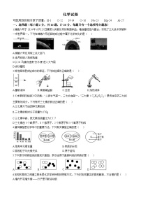 江苏省宿迁市泗阳县2024--2025学年九年级上学期11月期中化学试题