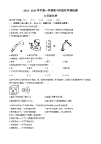 河南省周口市郸城县2024-2025学年九年级上学期期中化学试卷