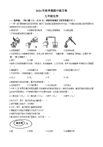 甘肃省嘉峪关市实验中学2024-2025学年九年级上学期期中化学试卷(无答案)