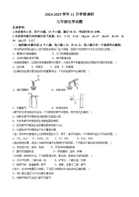 河南省洛阳市洛宁县2024-2025学年九年级上学期11月期中考试化学试题(无答案)