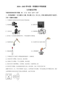 广东省深圳市龙华区新华中学2024～2025学年九年级(上)期中化学试卷(含答案)