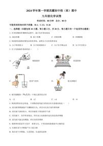 辽宁省辽阳市第一中学西藏初中校2024～2025学年九年级(上)期中化学试卷(含答案)