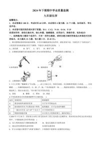 湖南省永州市蓝山县2024～2025学年九年级(上)期中化学试卷(含答案)