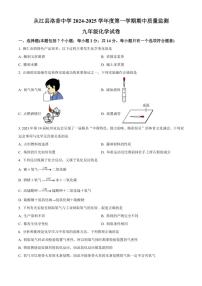 贵州省黔东南州从江县洛香中学2024～2025学年九年级(上)期中化学试卷(含答案)