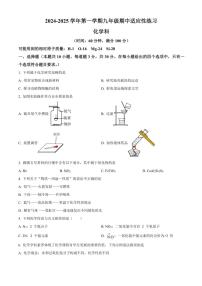 福建省福州市台江区福州华伦中学2024～2025学年九年级(上)期中化学试卷(含答案)