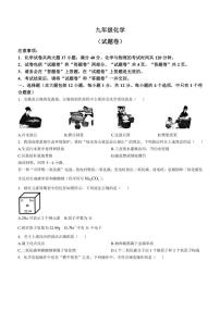 安徽省淮北市西园中学2024～2025学年九年级(上)第二次教学质量检测月考化学试卷(含答案)