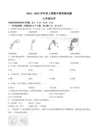 河南省驻马店市汝南县2024～2025学年九年级(上)期中化学试卷(含答案)