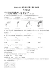 河南省驻马店市汝南县2024～2025学年九年级(上)期中化学试卷(含答案)