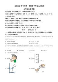 山东省聊城市莘县2024～2025学年九年级(上)期中化学试卷(含答案)