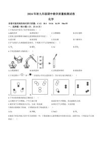 河南省驻马店市上蔡县2024～2025学年九年级(上)期中素质测试化学试卷(含答案)