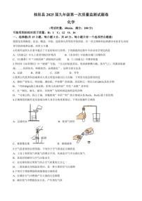 湖南省郴州市桂阳县2024～2025学年九年级(上)期中化学试卷(含答案)