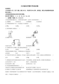 河南省驻马店市第二初级中学2024～2025学年九年级(上)期中化学试卷(含答案)