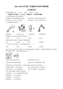 河南省周口市郸城县2024～2025学年九年级(上)期中化学试卷(含答案)