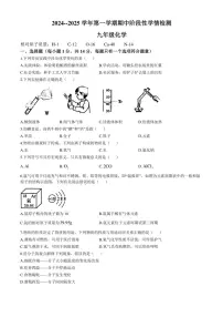 河南省周口市郸城县2024～2025学年九年级(上)期中化学试卷(含答案)