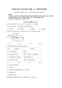 辽宁省辽阳市灯塔市2024～2025学年九年级(上)期中化学试卷(含答案)