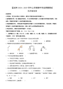 湖北省襄阳市宜城市2024-2025学年九年级上学期期中考试化学试卷