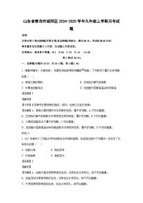 山东省青岛市城阳区2024-2025学年九年级上学期月考化学试卷(解析版)