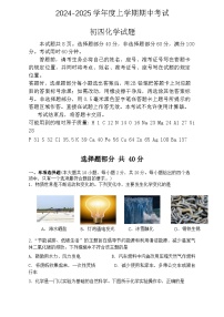山东省济南市钢城区2024--2025学年九年级上学期期中化学试题