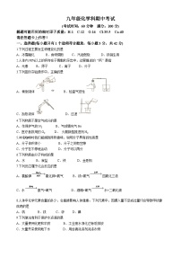 海南省文昌市2024-2025学年九年级上学期期中考试化学试题