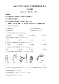福建省泉州市泉港区2024～2025学年九年级(上)期中化学试卷(含答案)