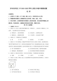 四川省泸州市泸县第二中学2024～2025学年九年级(上)期中化学试卷(含答案)