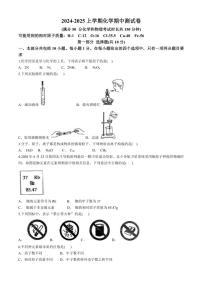 辽宁省鞍山市海城市东部集团2024～2025学年九年级(上)期中化学试卷(含答案)