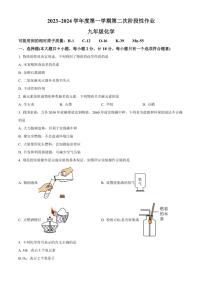 陕西省渭南市2023～2024学年九年级(上)第二阶段质量检测化学试卷(含答案)